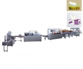 藥用自動(dòng)高速裝盒機(jī)的形式